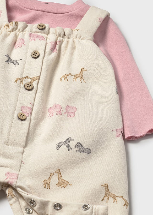 Conj. Peto safari