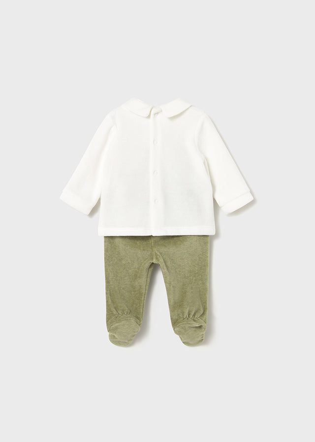 Conjunto polaina oso