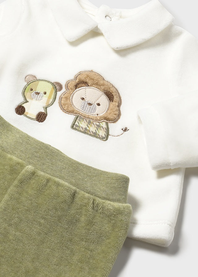 Conjunto polaina oso