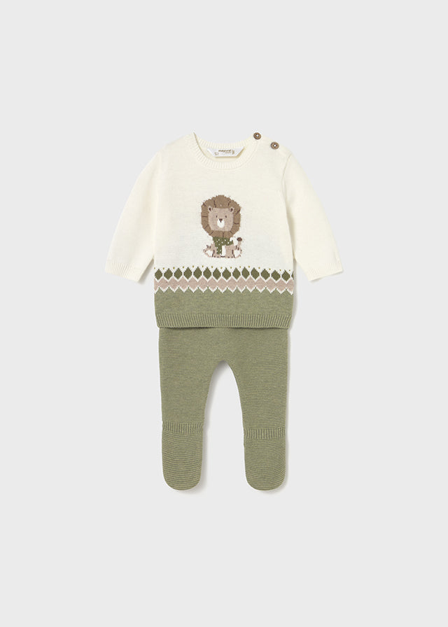 Conjunto tricot león