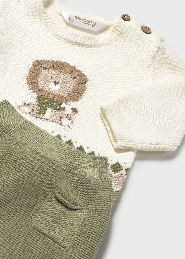 Conjunto tricot león
