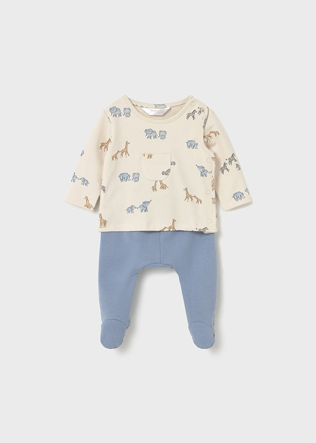 Polaina safari