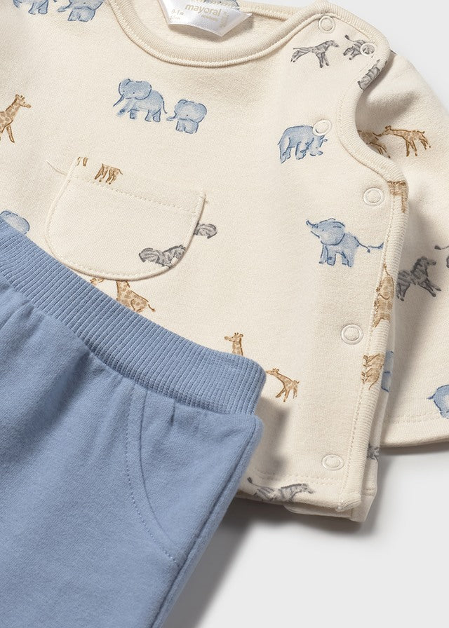 Polaina safari