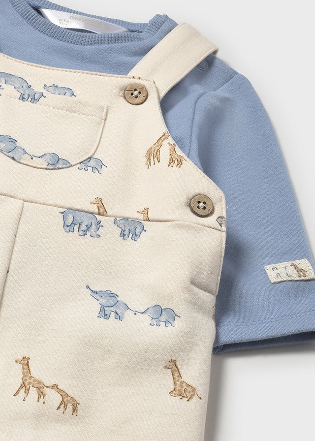 Conjunto peto safari
