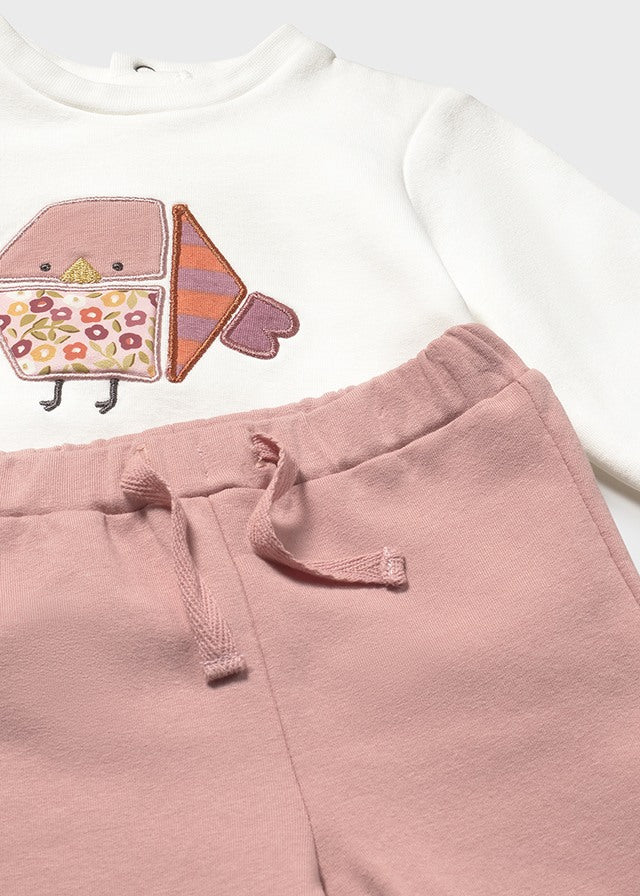 Conjunto chaleco pájaro