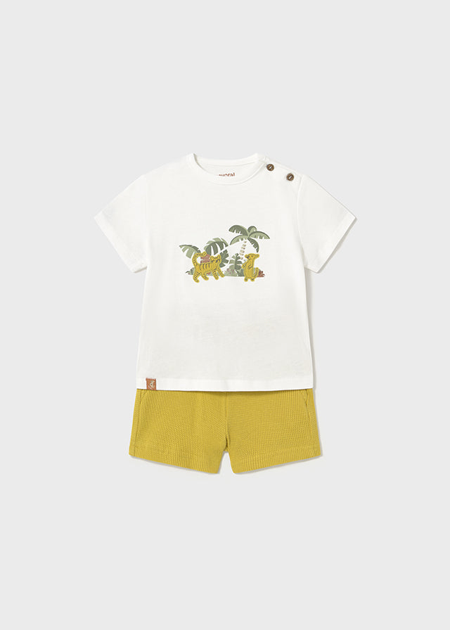 Conjunto jungla