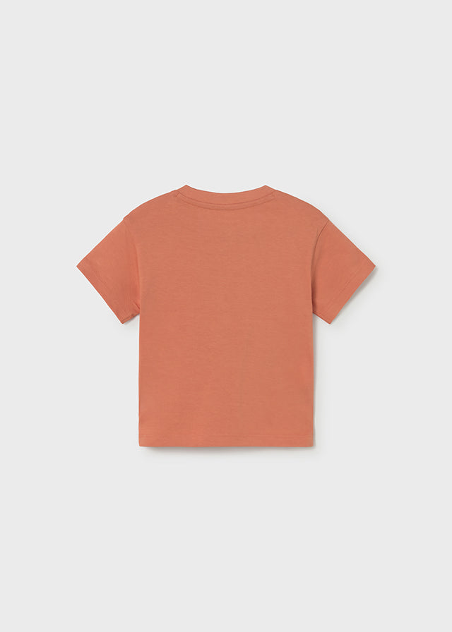 Camiseta camaleón coche