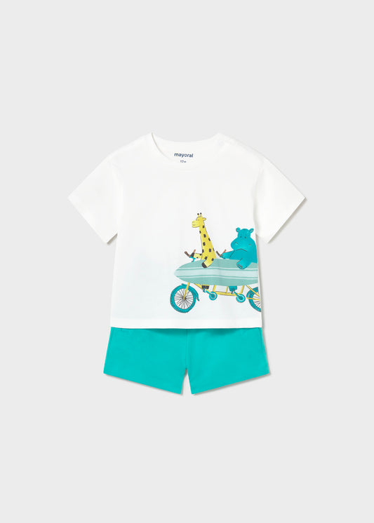 Conjunto animales surfistas