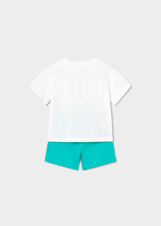 Conjunto animales surfistas