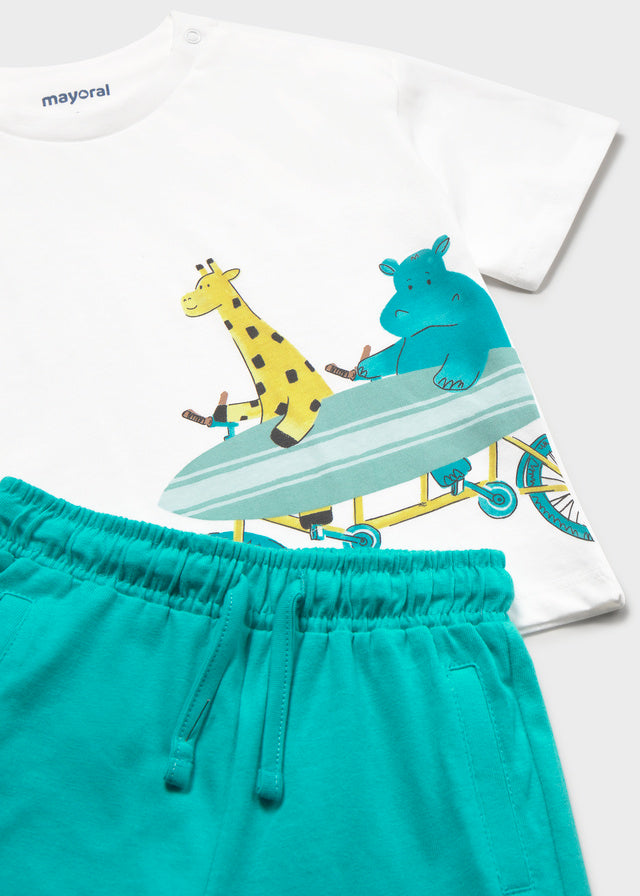 Conjunto animales surfistas