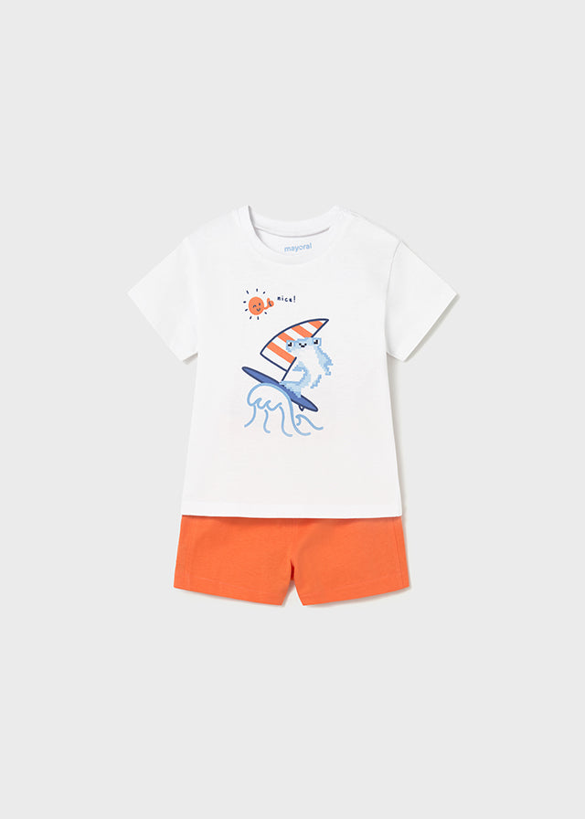 Conjunto surf