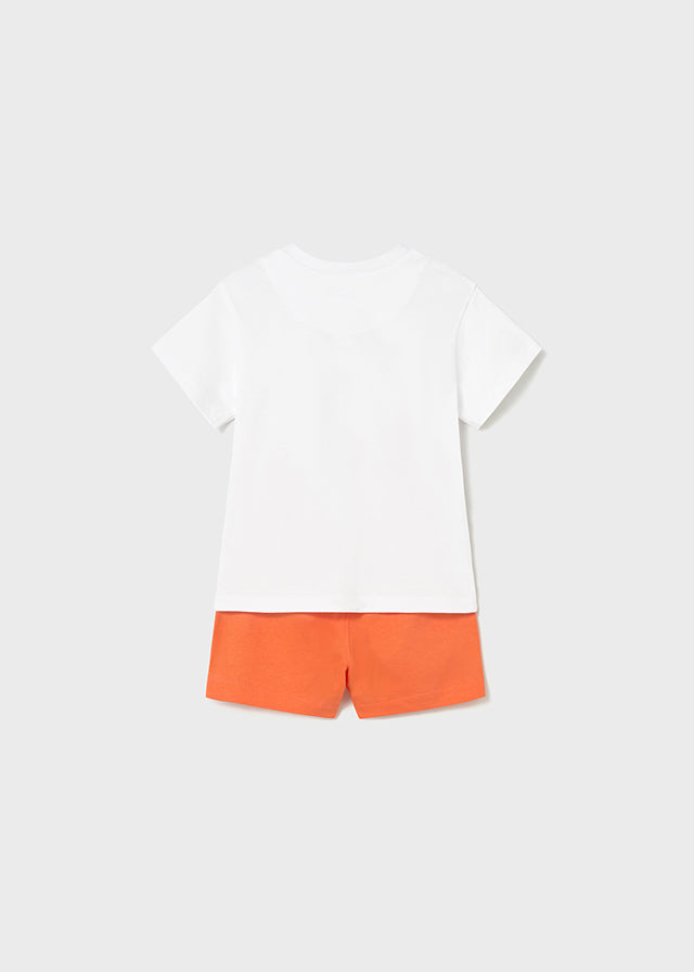 Conjunto surf