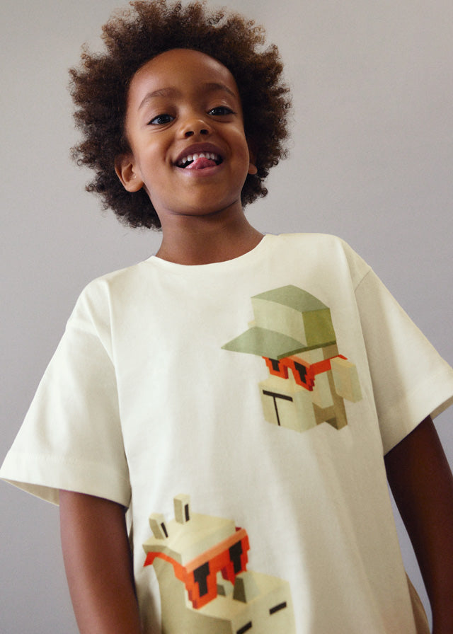 Camiseta niño minecraft