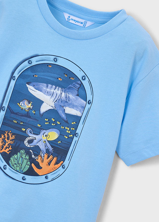 Camiseta ventana