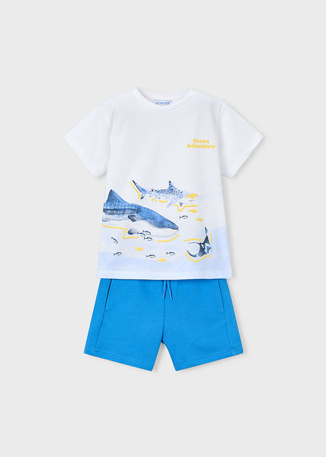 Conjunto pantalón y camiseta tiburones