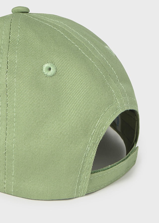 Gorra bordada camaleón