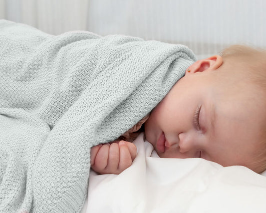 Toquilla bambú gris